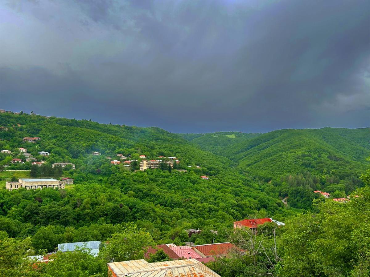 Hotel Vim In Sighnaghi Exterior foto