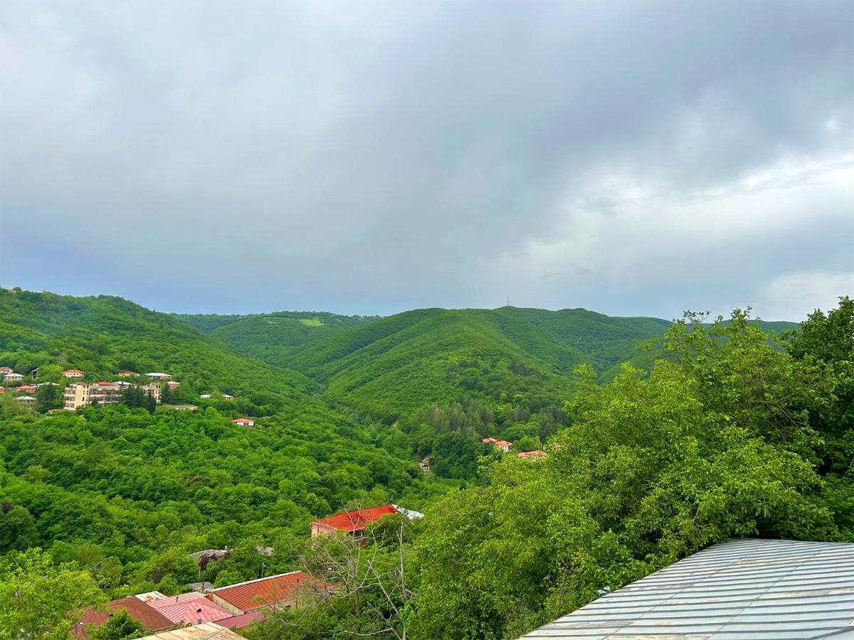 Hotel Vim In Sighnaghi Exterior foto